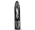 e4m Maverick Award