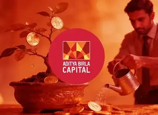 Birla Sun Life project